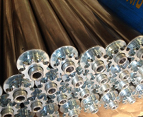 Sprocket Drive Roller ลูกกลิ้งลำเลียงติดเฟือง